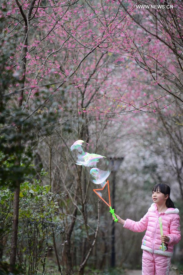 #（生态）（3）花间春色