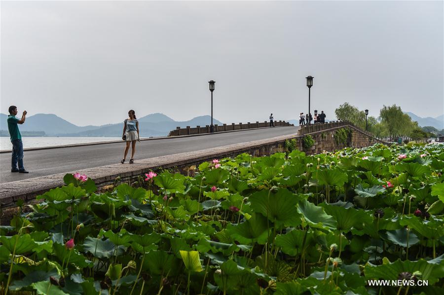 الصورة: إغلاق البحيرة الغربية في هانغتشو لاستقبال قمة مجموعة العشرين