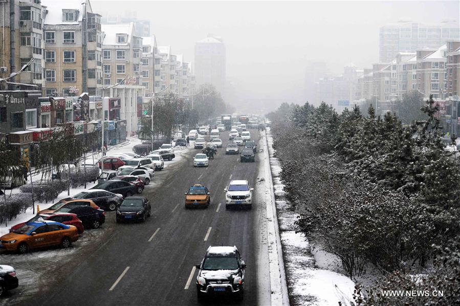 الصورة: أول تساقط للثلوج في مدينة هاربين بعد حلول الشتاء 