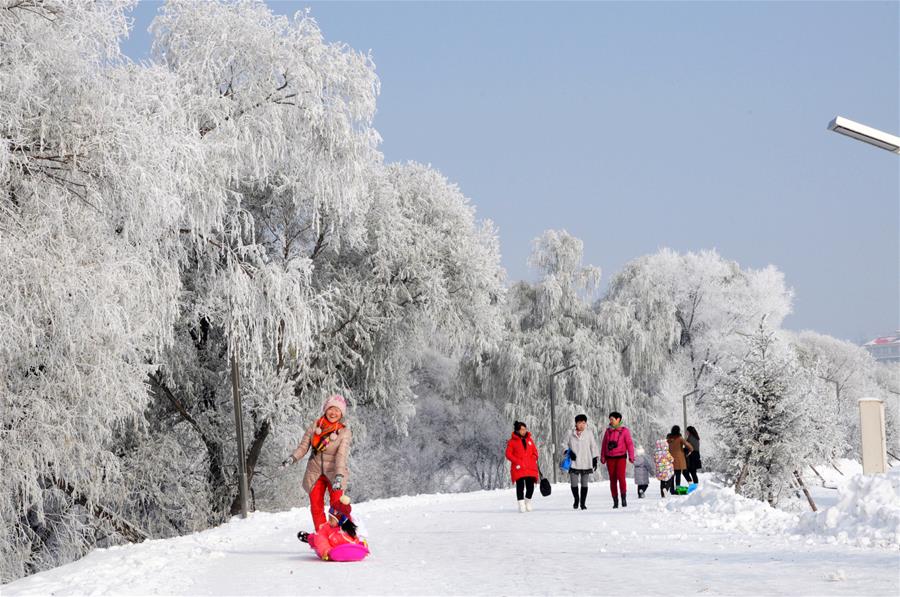  الصورة: الثلوج تغطي الأشجار شمال شرقي الصين