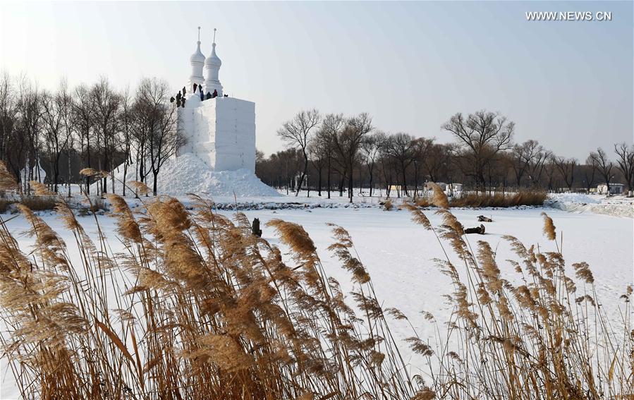 （社会）（2）太阳岛雪博会试开园