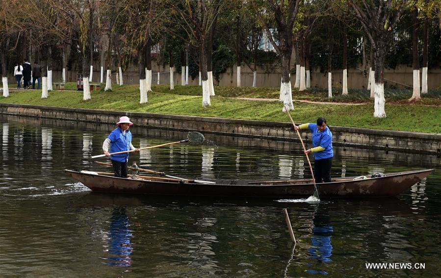 （图文互动）（4）&ldquo;高原明珠&rdquo;复苏记&mdash;&mdash;昆明滇池迎来31年来最好水质