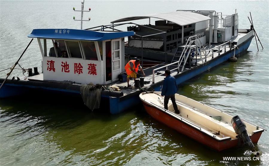 （图文互动）（3）&ldquo;高原明珠&rdquo;复苏记&mdash;&mdash;昆明滇池迎来31年来最好水质