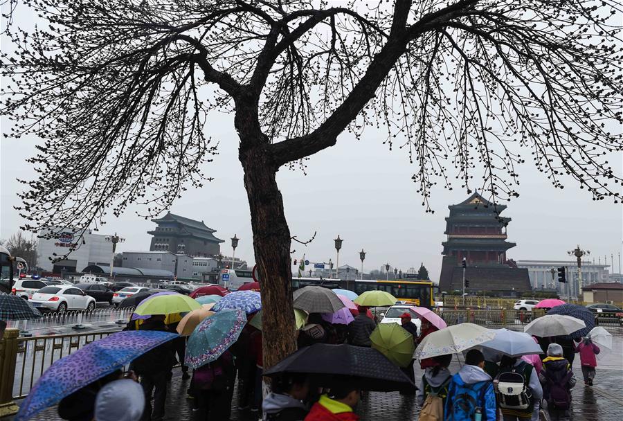 الصورة: بكين تشهد أمطار ربيعية
