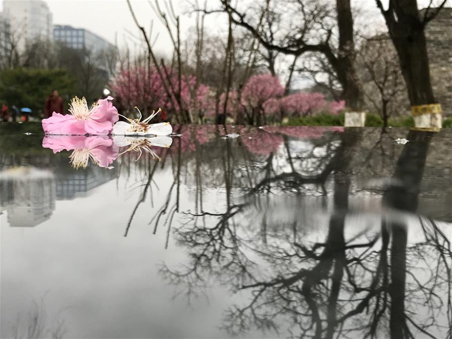 （环境）（7）北京：春雪或伴春雨至