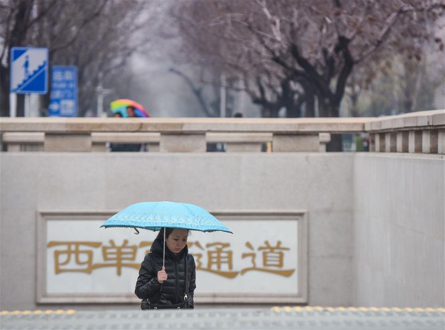 （环境）（11）北京：春雪或伴春雨至