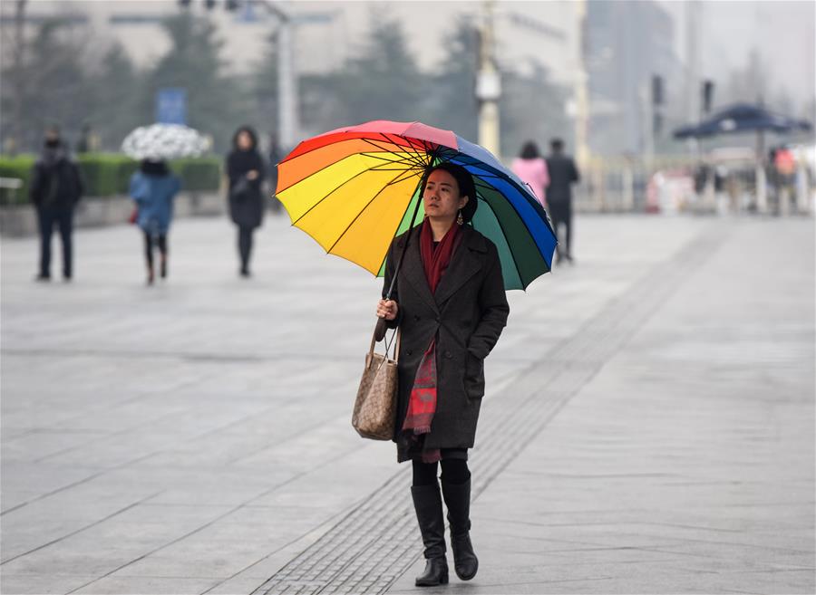 （环境）（9）北京：春雪或伴春雨至