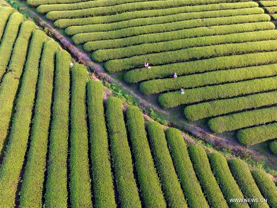 #CHINA-AERIAL VIEW-SPRING SCENERY (CN)