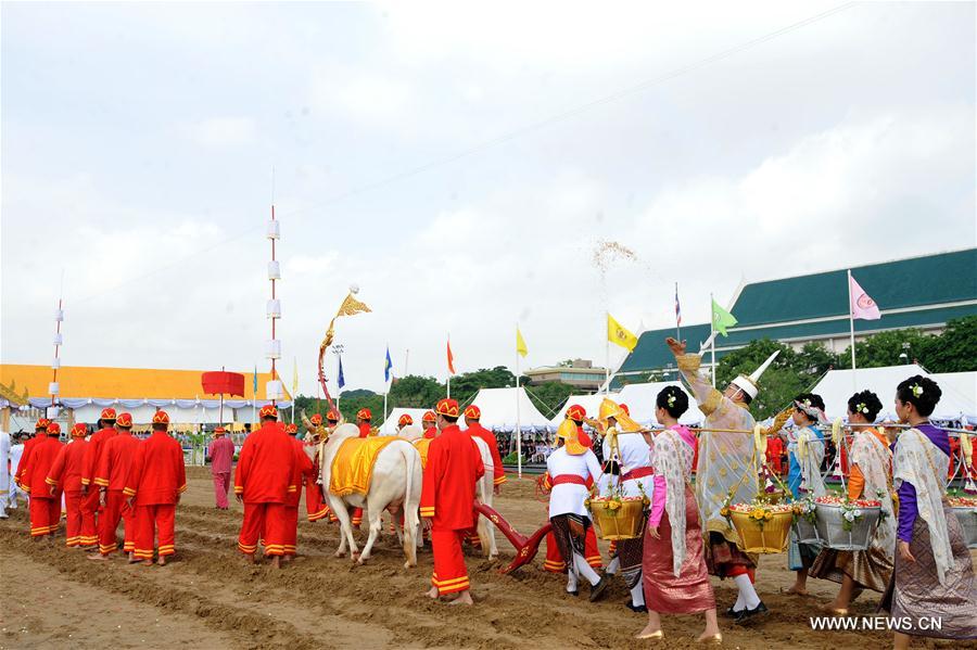 الصورة: مهرجان الحراثة السنوي في تايلاند