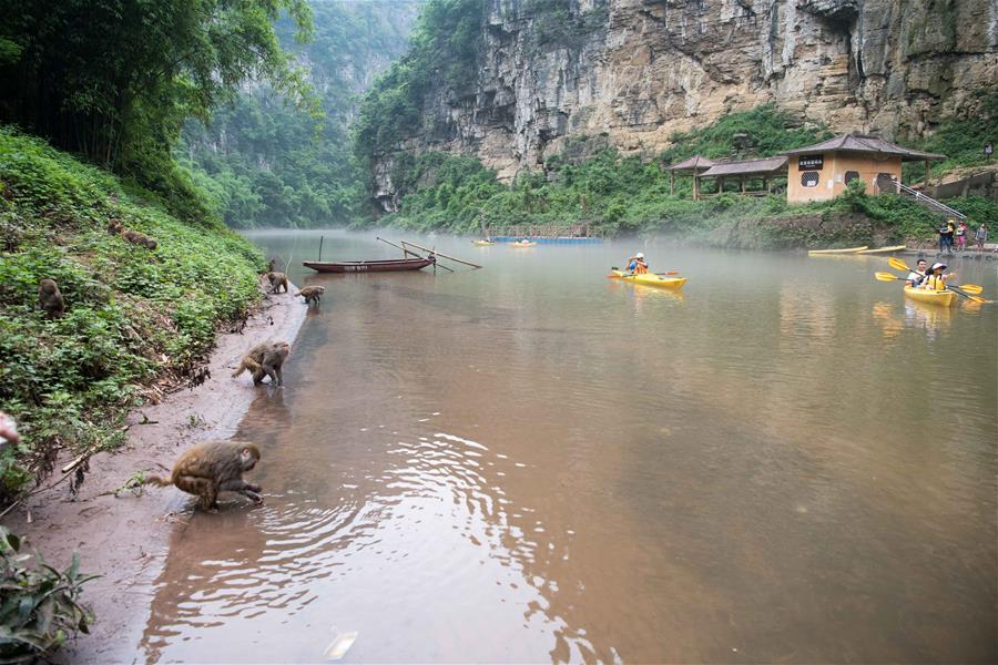 （美丽中国）（4）重庆统景：两岸“猿声”啼不住