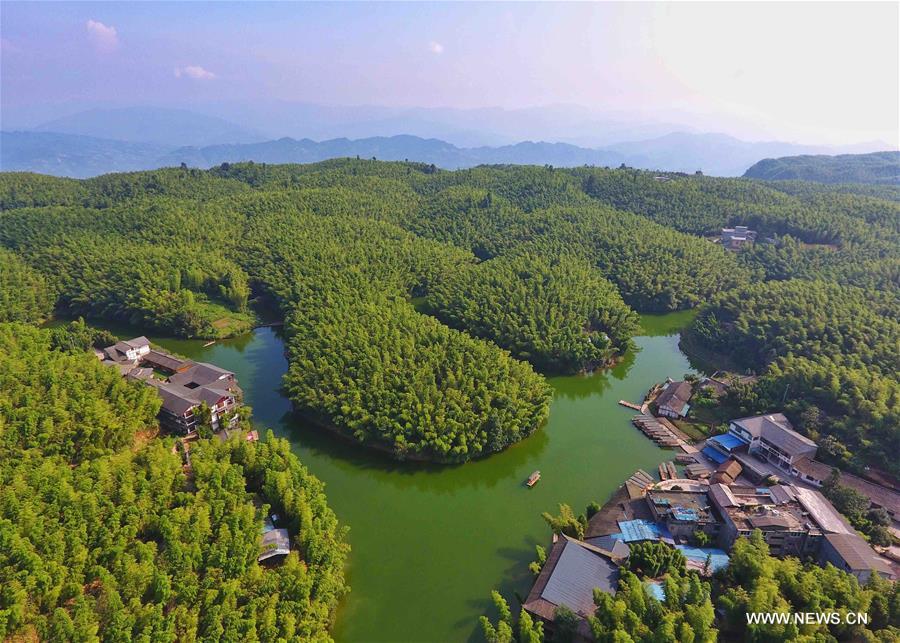 （环境）（3）蜀南竹海夏日风光美