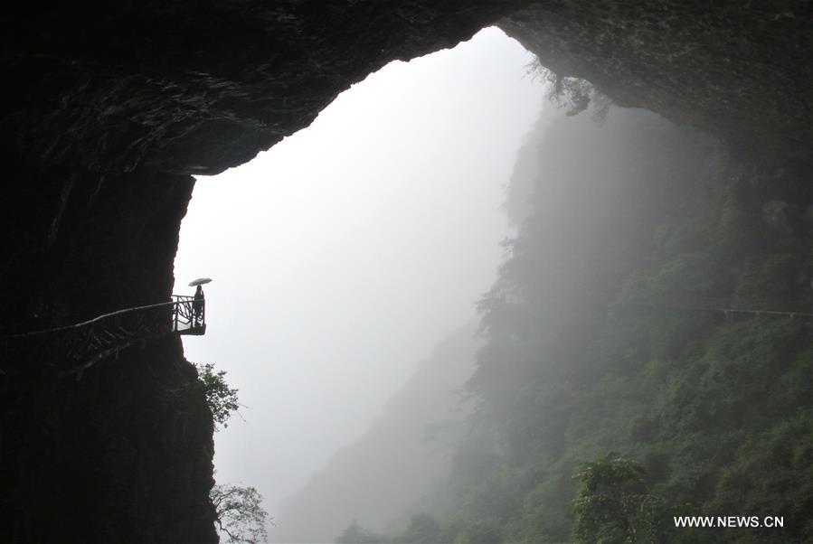 #（环境）（2）烟雨金佛山