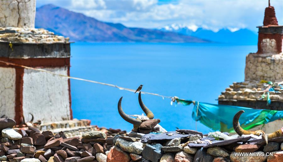 CHINA-TIBET-TANGRA YUMCO LAKE-SCENERY(CN)