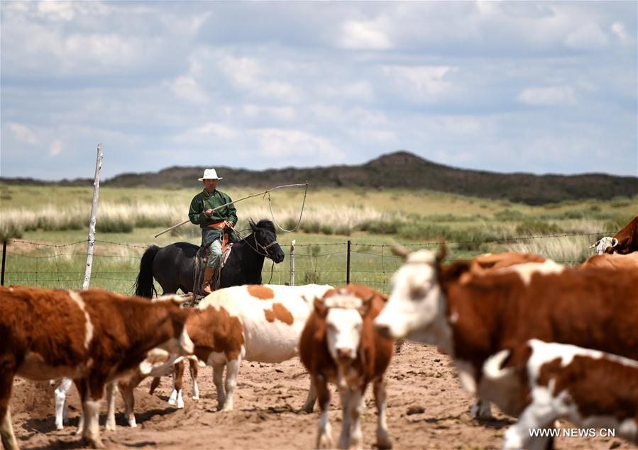 CHINA-INNER MONGOLIA-GRASSLAND-PROTECTION(CN)