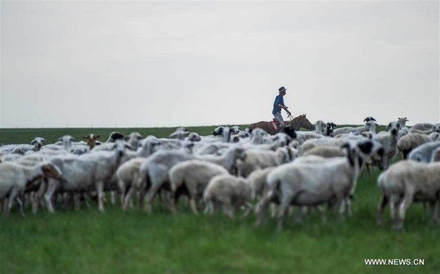 CHINA-INNER MONGOLIA-GRASSLAND-PROTECTION(CN)