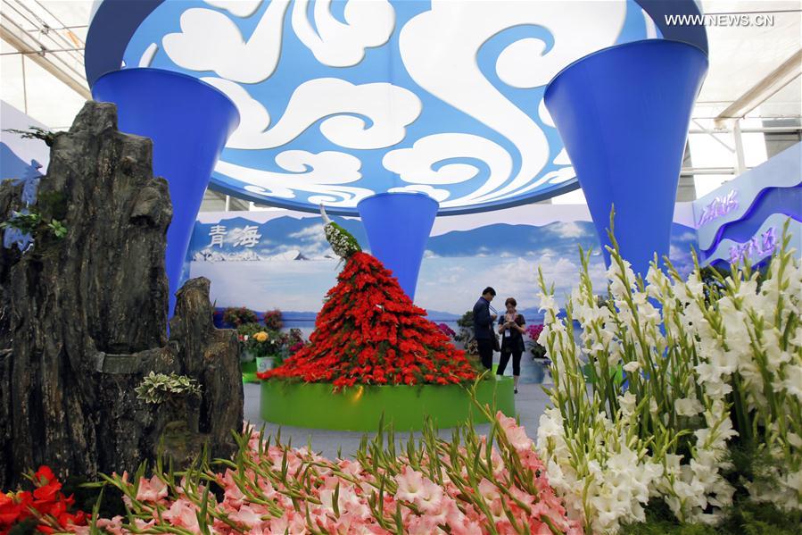 （社会）（5）第九届中国花博会在银川开幕