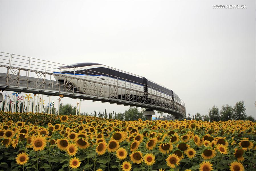 （社会）（6）第九届中国花博会在银川开幕