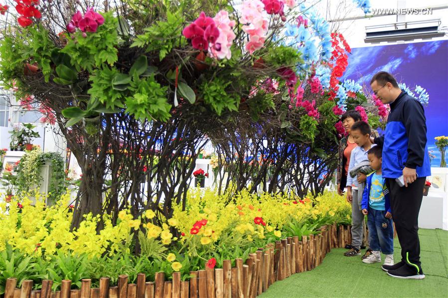 （社会）（7）第九届中国花博会在银川开幕