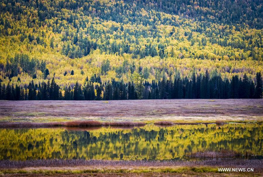 CHINA-XINJIANG-KANAS-AUTUMN SCENERY (CN) 