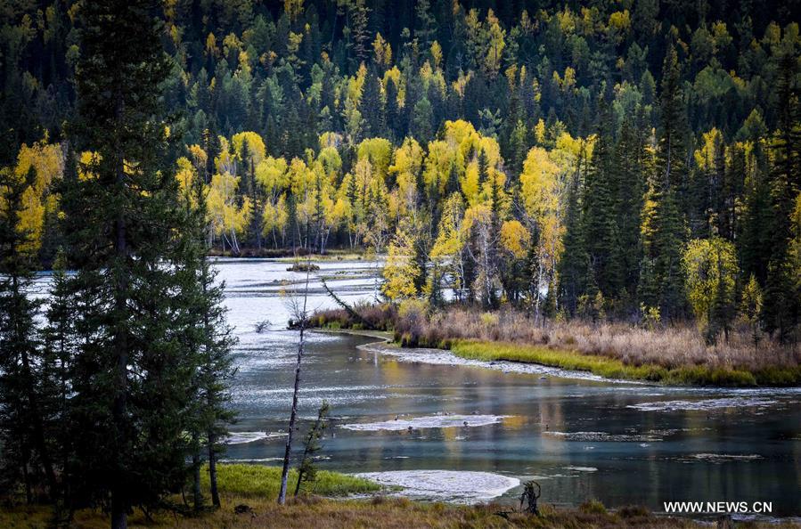 CHINA-XINJIANG-KANAS-AUTUMN SCENERY (CN) 