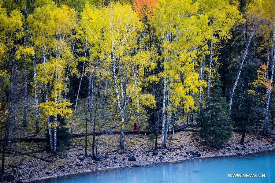 CHINA-XINJIANG-KANAS-AUTUMN SCENERY (CN) 