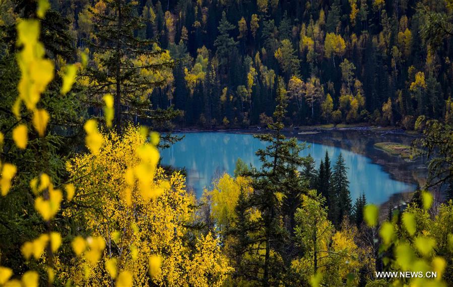 CHINA-XINJIANG-KANAS-AUTUMN SCENERY (CN) 