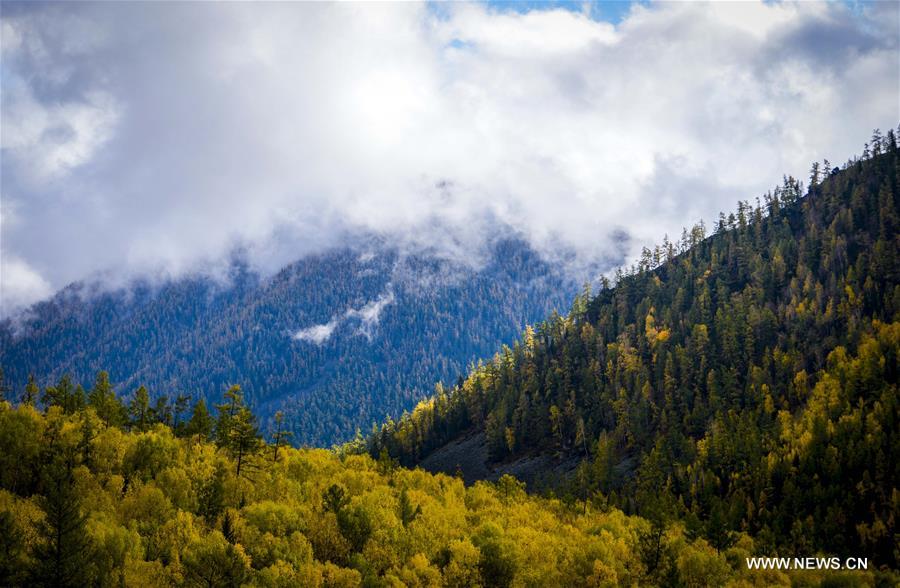 CHINA-XINJIANG-KANAS-AUTUMN SCENERY (CN) 