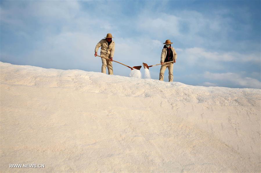 #（新华视界）（5）淮盐丰收&ldquo;春扒&rdquo;忙