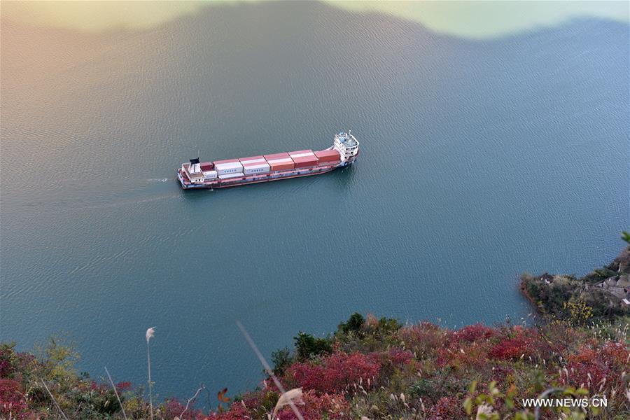 #（生态）（2）三峡红叶美如画