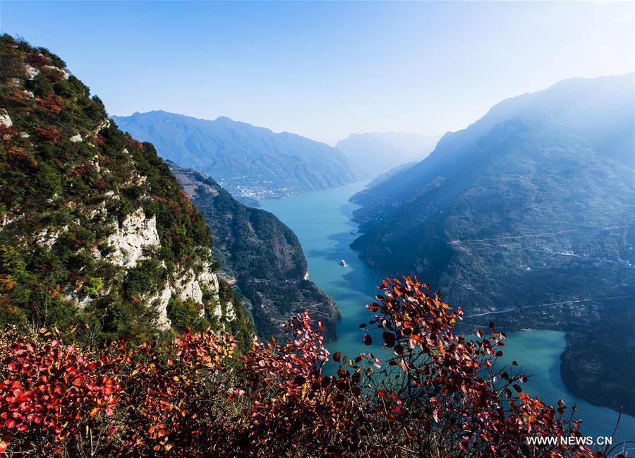 #（生态）（4）三峡红叶美如画