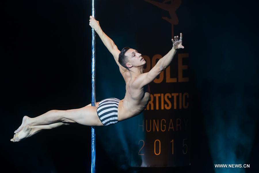 HUNGARY-BUDAPEST-POLE ARTISTIC COMPETITION