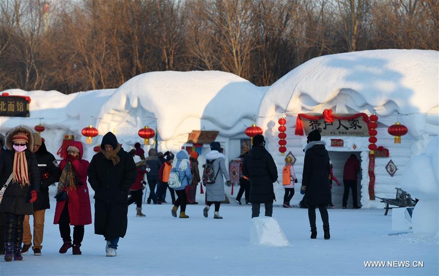 （晚报）（3）“都市雪乡”亮相雪博会