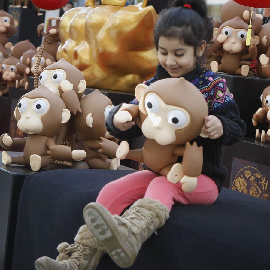 （国际）（1）温哥华举行猴子装置艺术展迎新春 