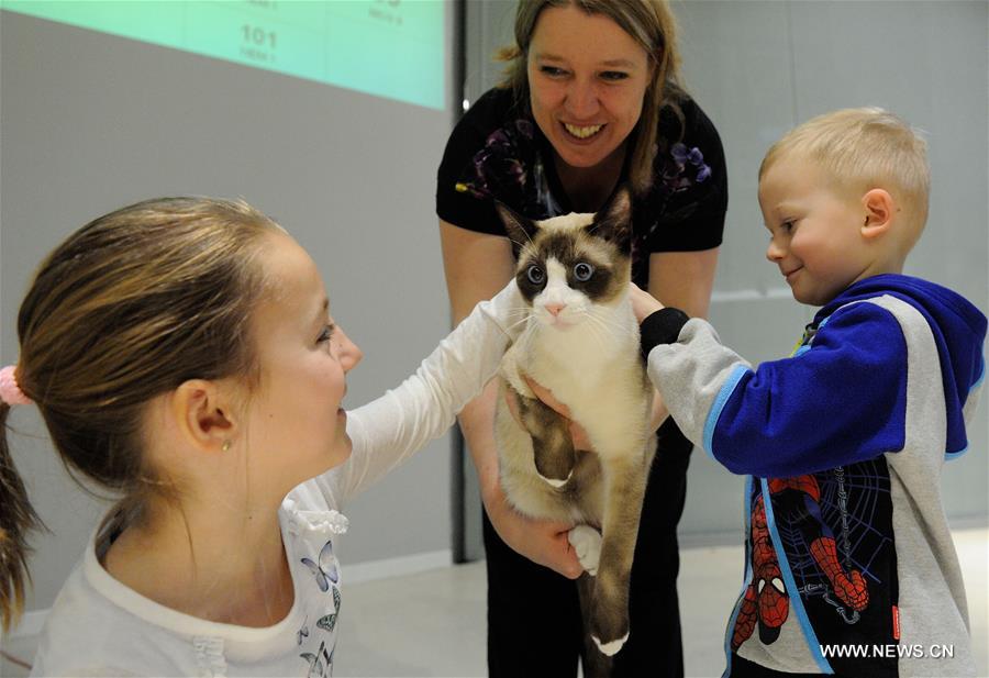 CROATIA-ZAGREB-INTERNATIONAL CAT EXHIBITION