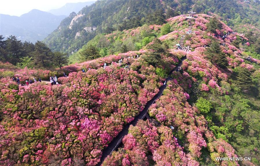 CHINA-WUHAN-FLOWERS (CN)