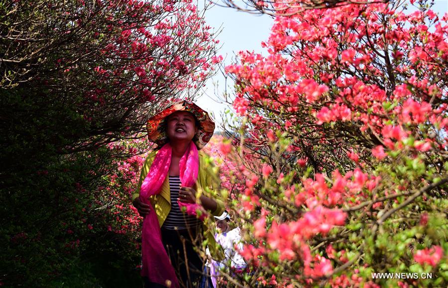 CHINA-WUHAN-FLOWERS (CN)