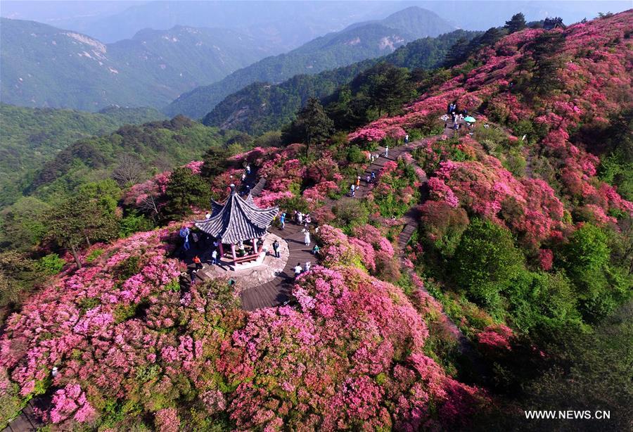 CHINA-WUHAN-FLOWERS (CN)