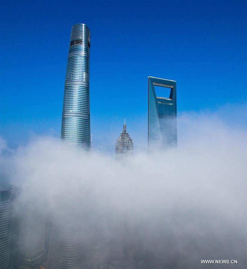 #（XHDW）（3）上海发布大雾橙色预警