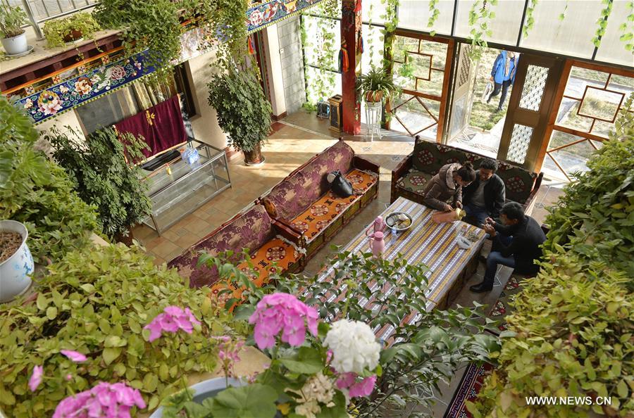 الصورة: رعاة ومزارعون بمدينة لاسا يقدمون خدمات سكنية لزوار