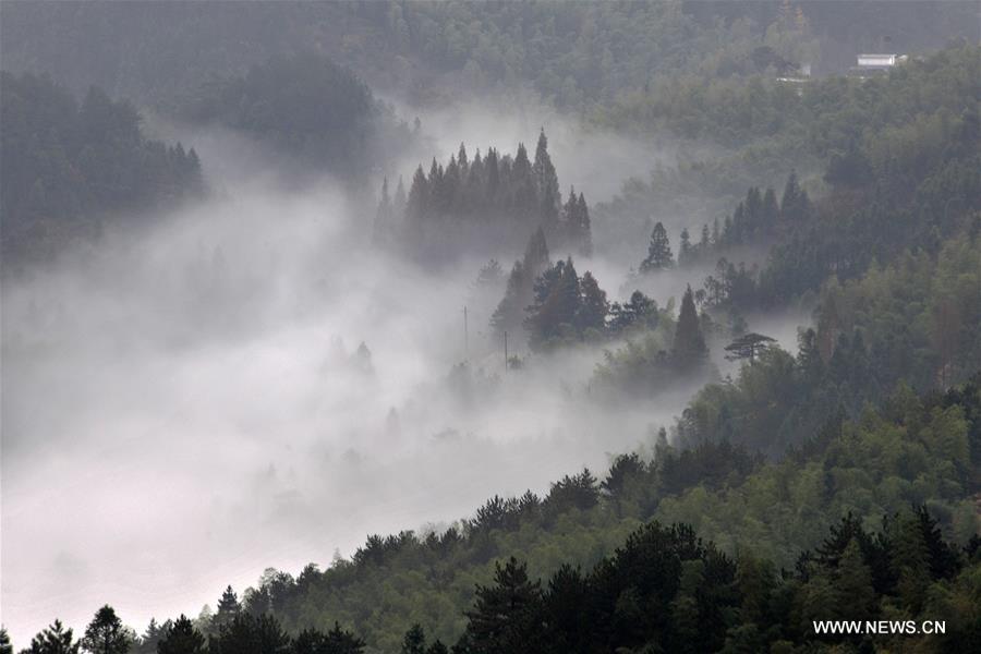 الصورة: منظر جميل لجبال دابيه وسط الصين