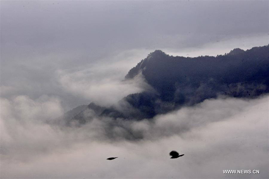 الصورة: منظر جميل لجبال دابيه وسط الصين