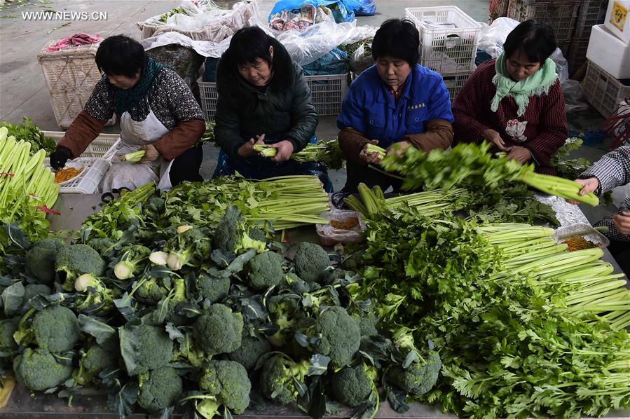 الصورة: إعداد خضراوات طازجة لعيد الربيع المقبل في شرقي الصين