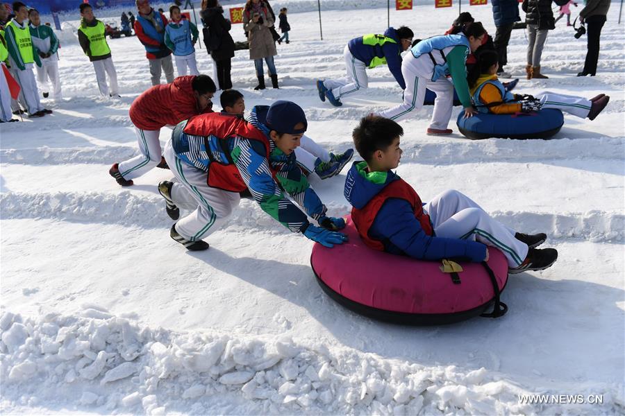 （体育）（3）全民健身——冰雪运动会上欢乐多