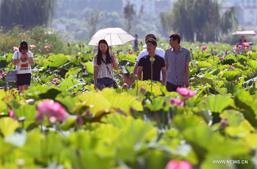 CHINA-YUNNAN-KIRIN ECOLOGICAL PARK (CN)