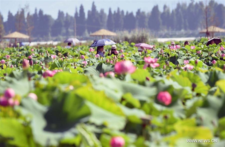 CHINA-YUNNAN-KIRIN ECOLOGICAL PARK (CN)