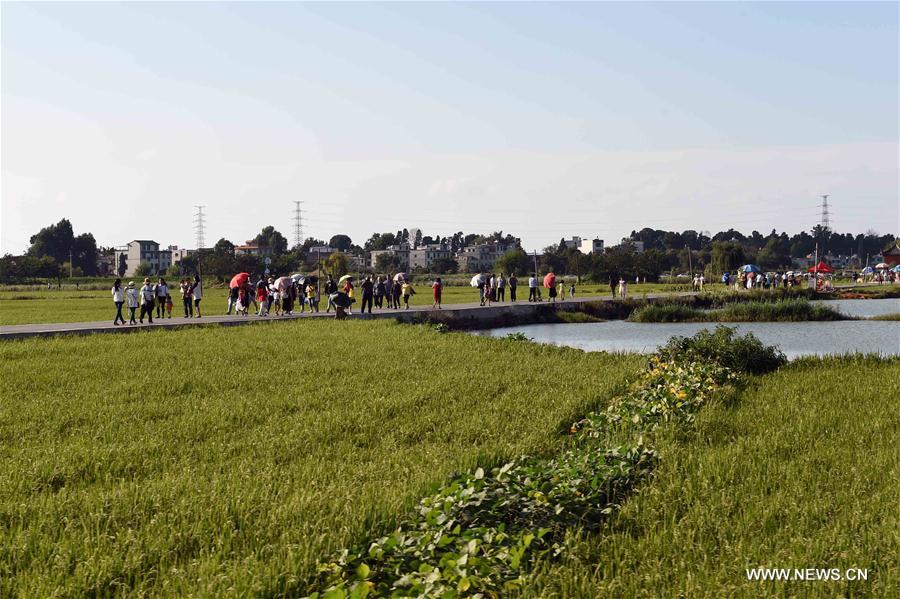 CHINA-YUNNAN-KIRIN ECOLOGICAL PARK (CN)