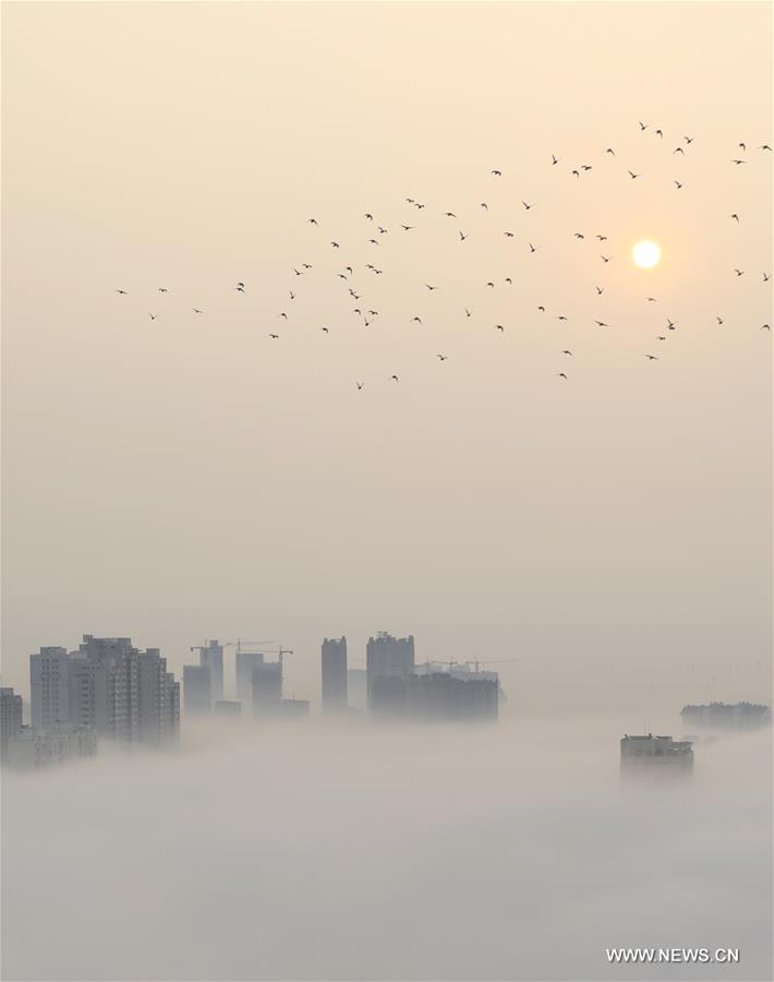 الصورة:مشهد لمحافظة شيويي محاطة بالضباب في مقاطعة جيانغسو