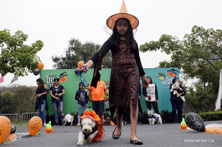 PERU-LIMA-SOCIETY-DOG-HALLOWEEN