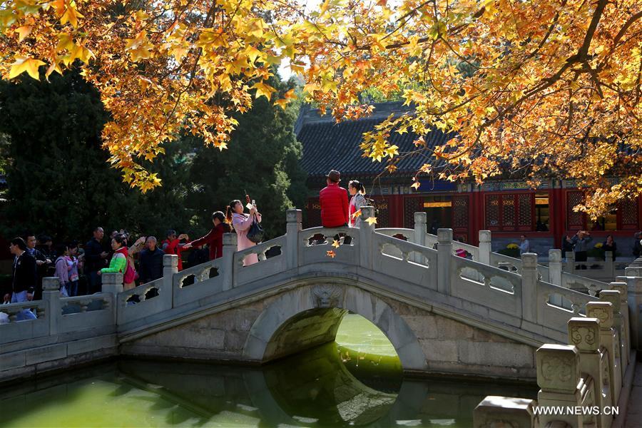 #CHINA-BEIJING-AUTUMN SCENERY(CN)