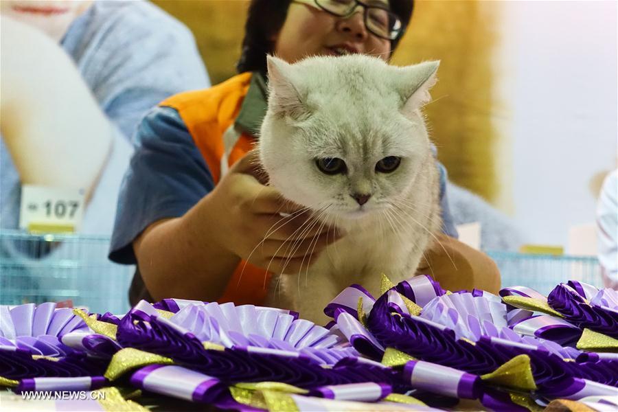 （社会）（3）台北举行宠物用品博览会